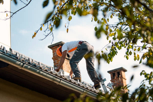 Best Tile Roofing Contractor  in Cave City, KY