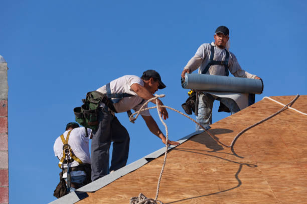 Best Metal Roofing Contractor  in Cave City, KY